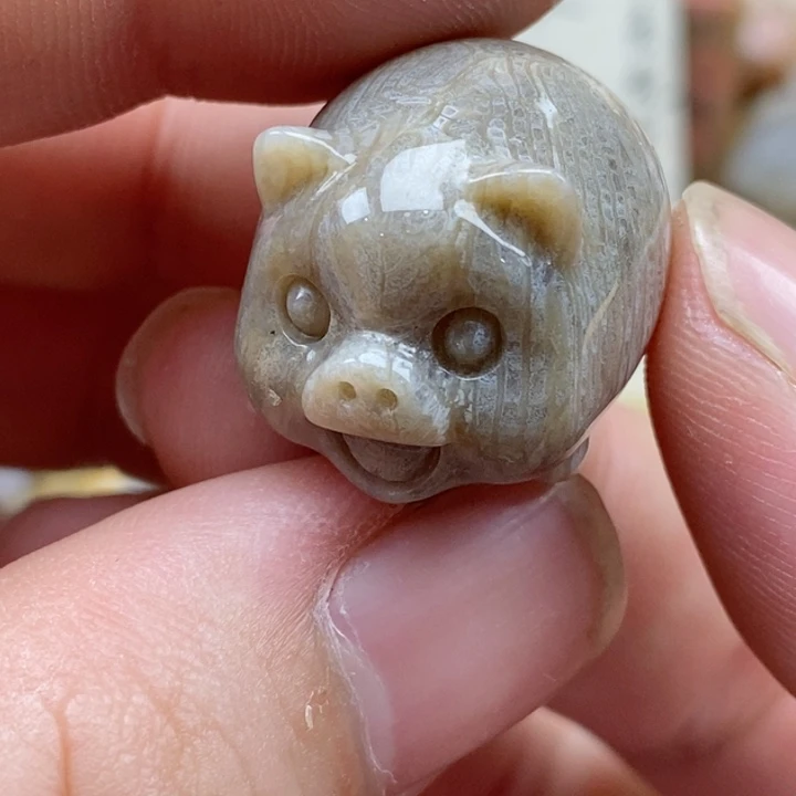 硅化珊瑚（珊瑚玉）未镶嵌颈饰小