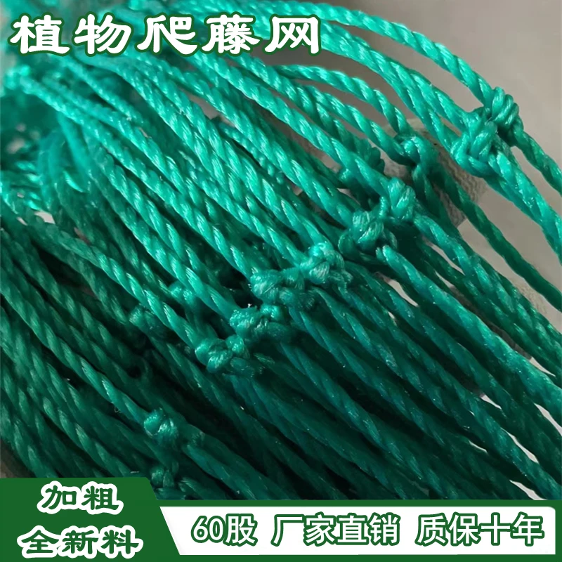 爬藤植物花卉瓜果丝瓜苦瓜吊瓜葡萄瓜蒌豆角百香果爬藤鱼网笼网