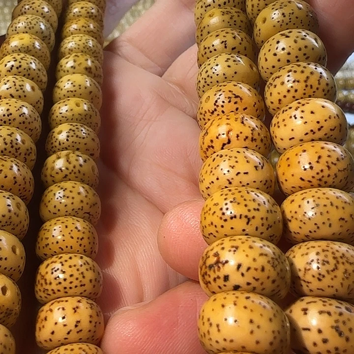 老脱脂星月菩提112