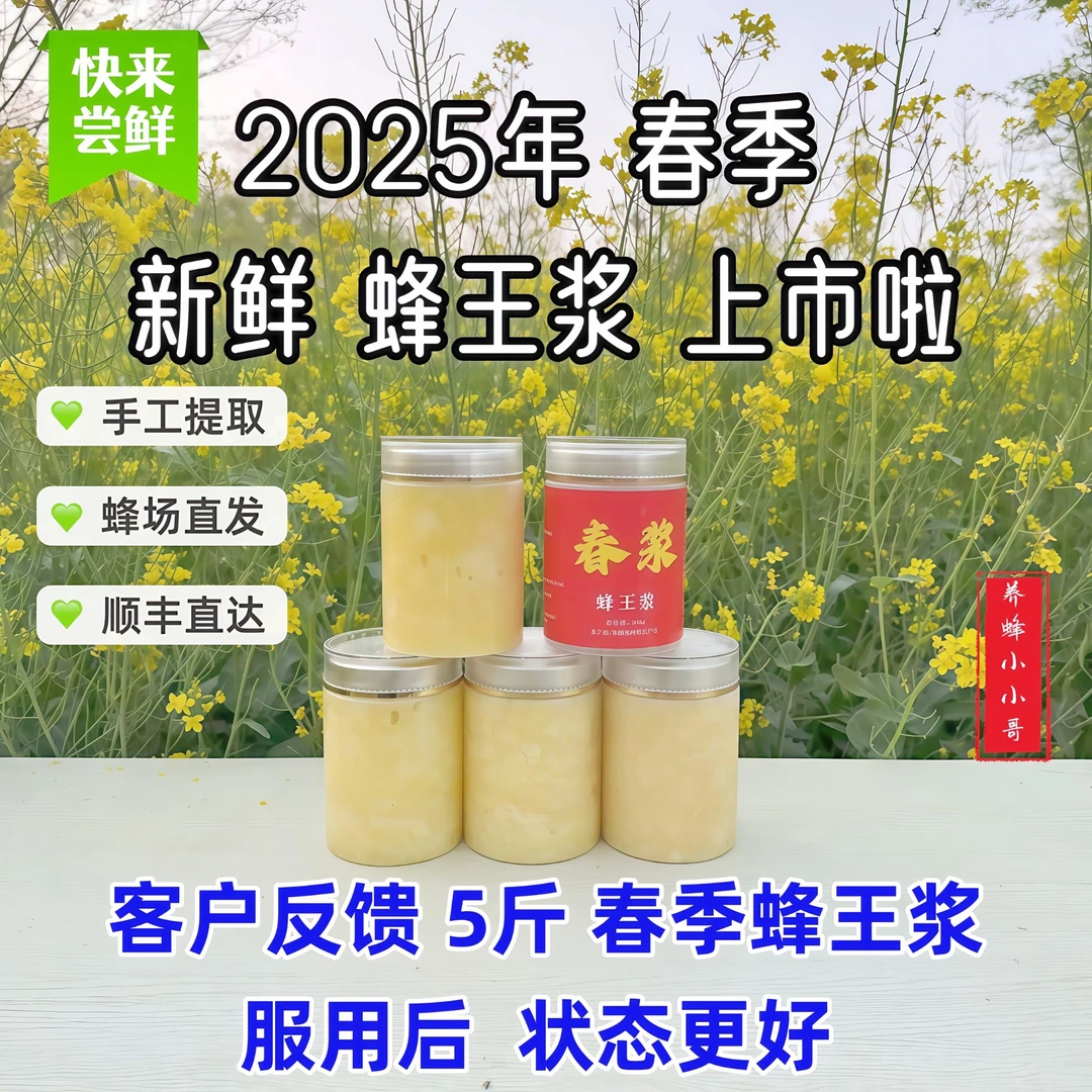 2025珍稀春季【5斤套餐】  蜂王浆  头茬 优质正宗
