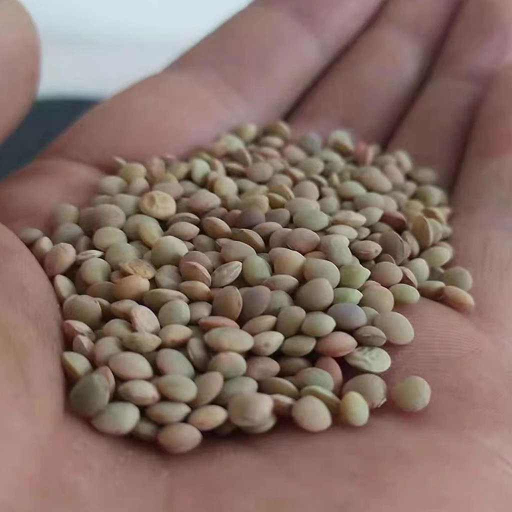 【土妹家】老品种 小扁豆