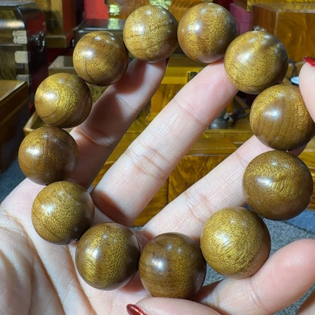 金丝楠金丝楠福利2.0