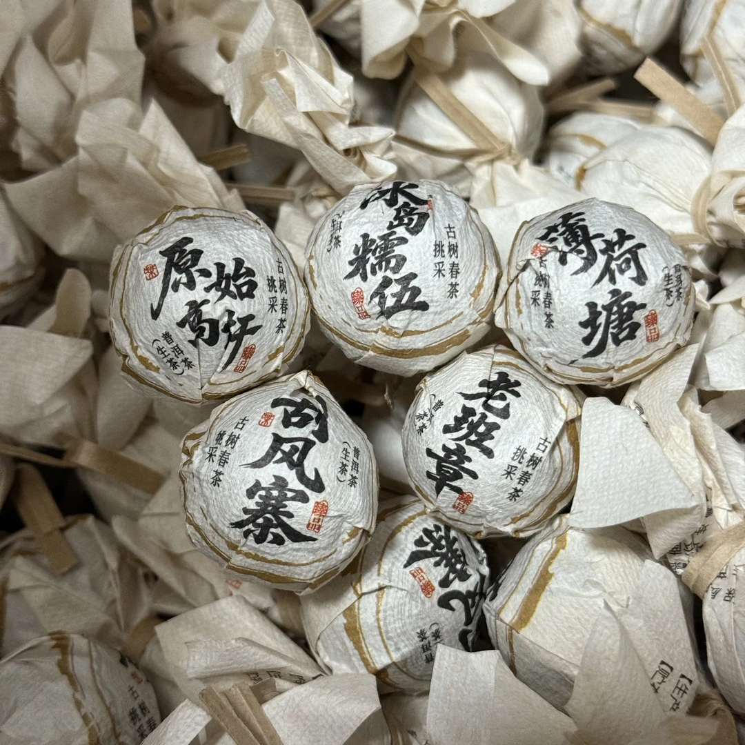 【名山尝鲜装】JM2026年老班章+冰岛糯伍+薄荷塘+刮风寨+原始高杆生茶龙珠6g*1份
