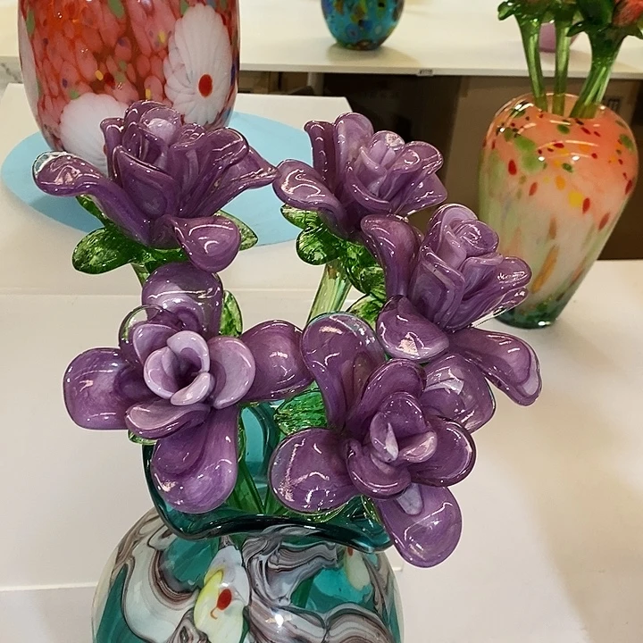 玫瑰花高45厘米左右