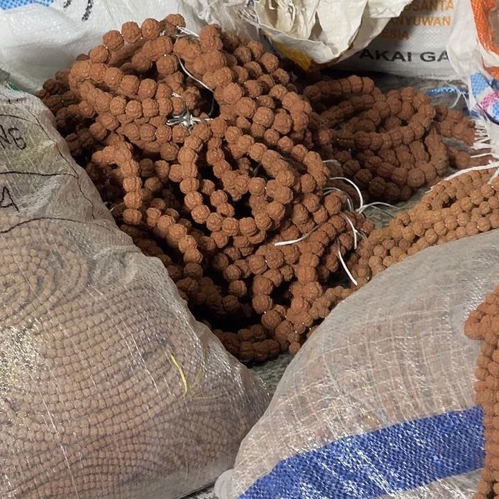 果***果金刚菩提吊坠花魁10条大