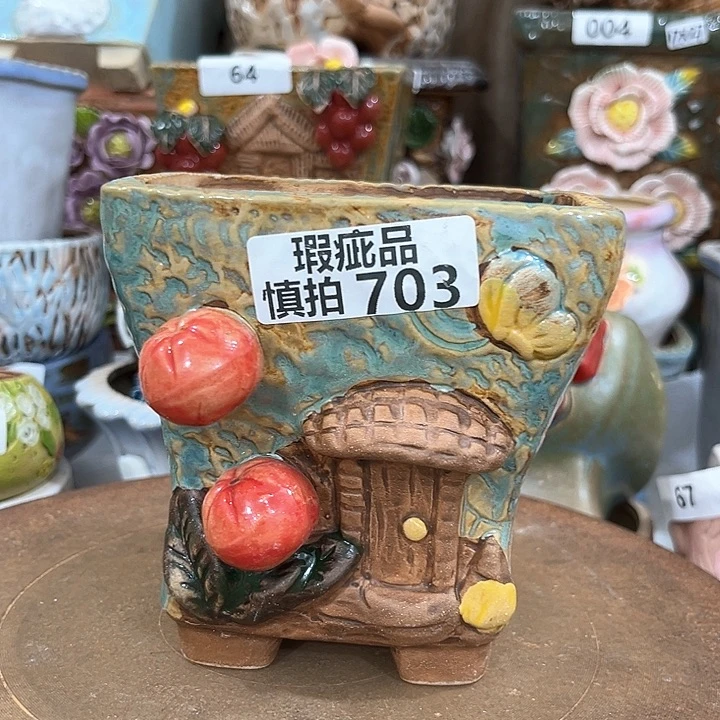 红陶粗陶多肉花盆中