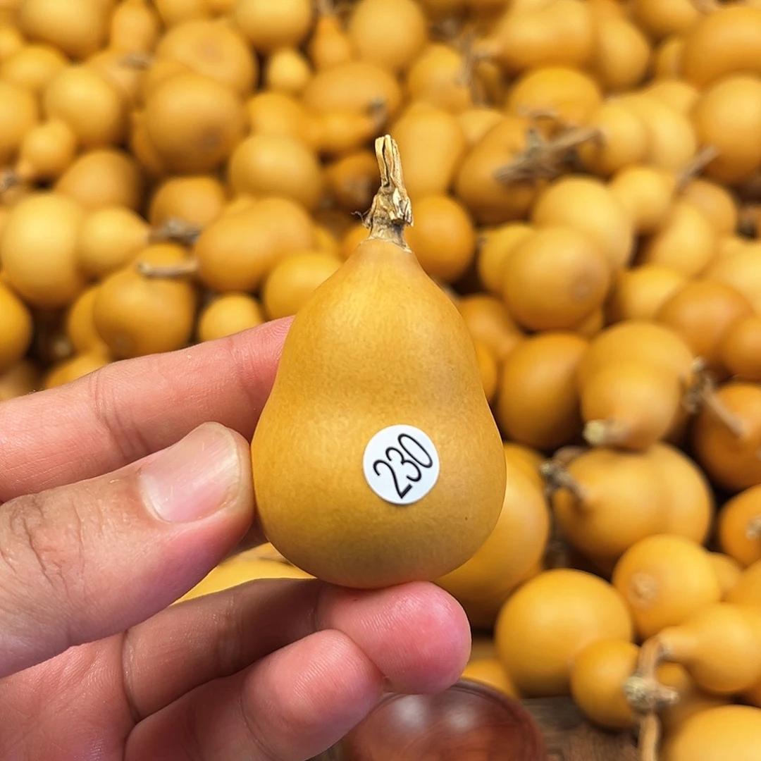 一葫芦葫芦葫芦葫芦230