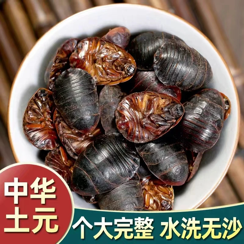 广西土元克土元虫土元干 土鳖虫土鳖虫粉土元粉地鳖虫包邮