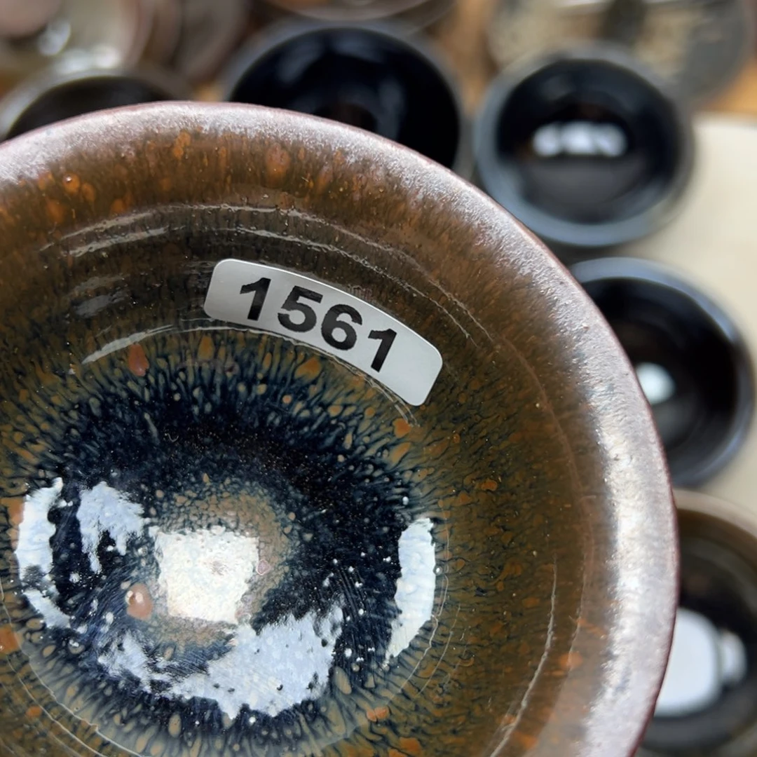 茶盏鲨**哥在哪都要照顾孩子们