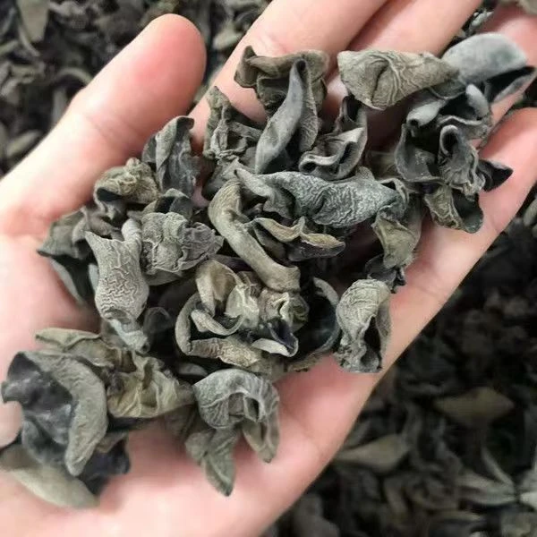 【到手3包】】东北黑木耳无根干货适合炒菜凉拌涮火锅30克/包