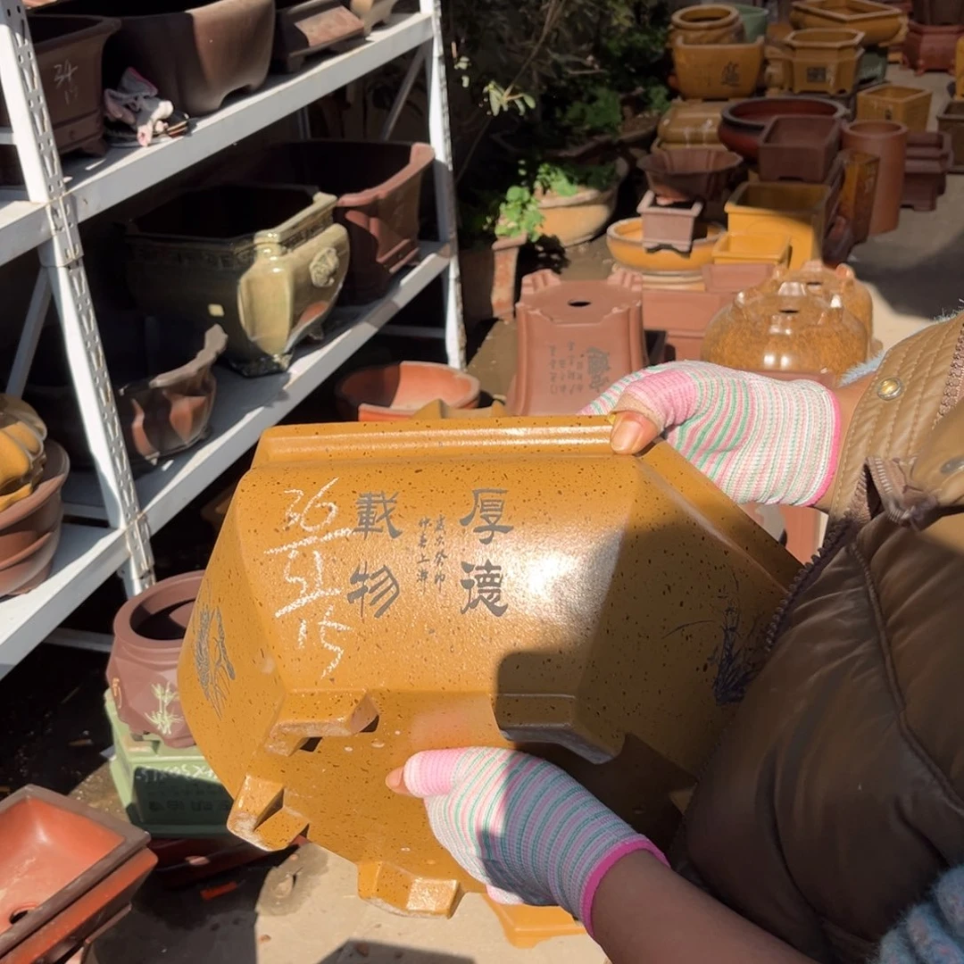 紫砂花盆盆景艺术