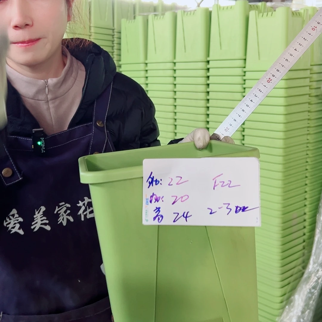 方盆22果绿3个无托