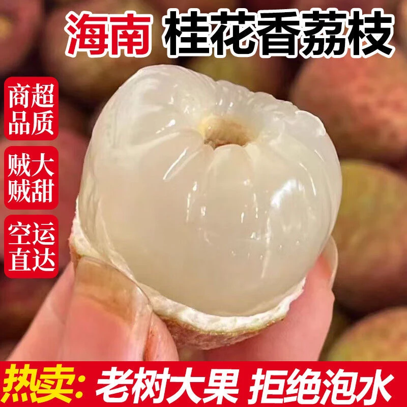 【母亲节福利乌鲁木齐发货】桂花香荔枝新鲜现摘现发老树1公斤海南省