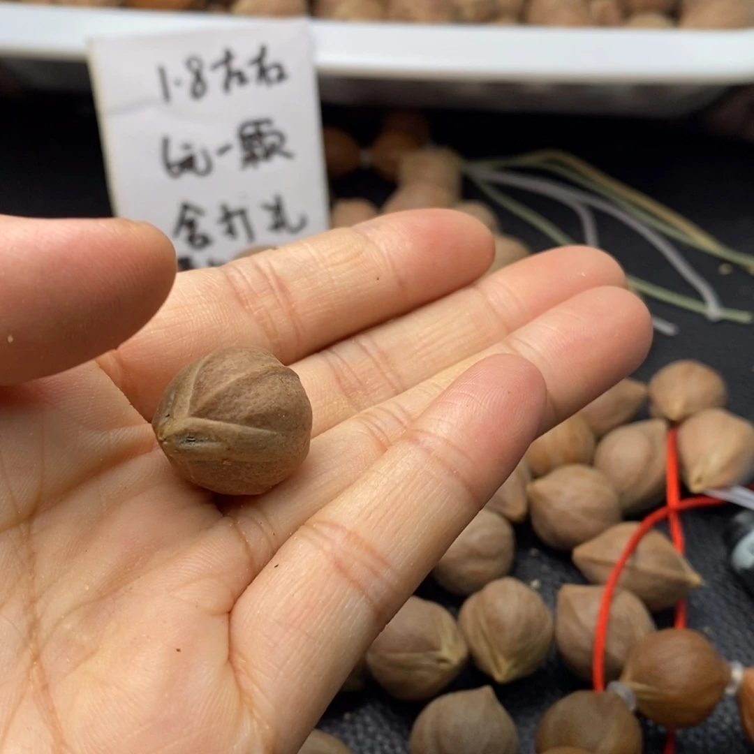 小***钱手串/手链橄榄核1