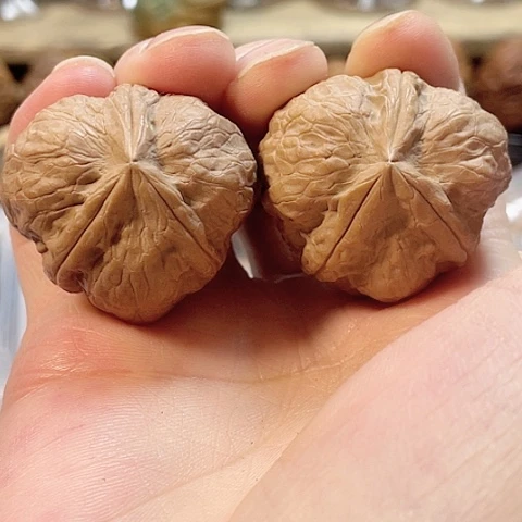 文玩核桃把件玄武索带彩36