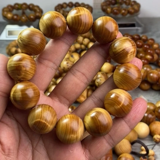 柏木（崖柏）崖柏2.0