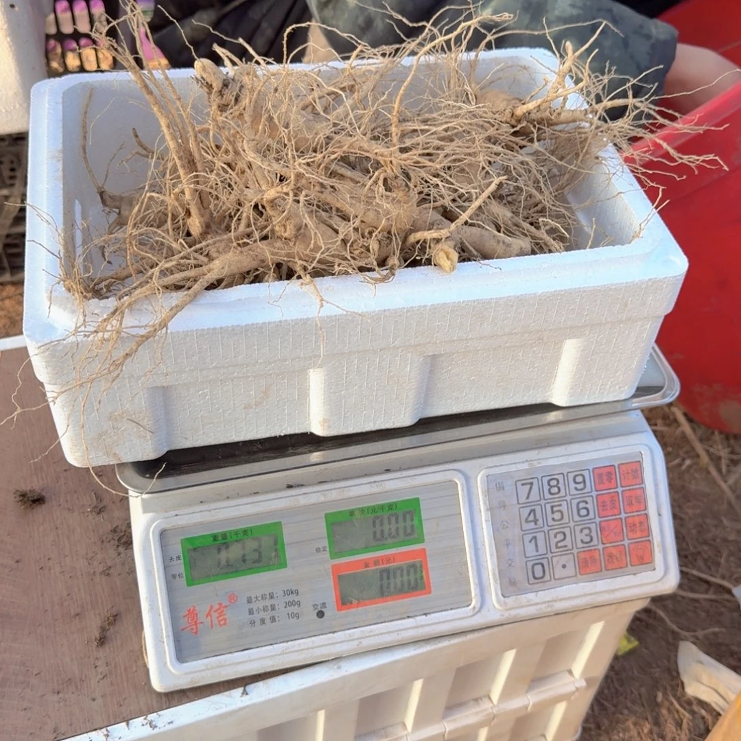 至***宝林下参13年以上克2500g