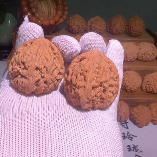核桃三角疆开播福利第二单