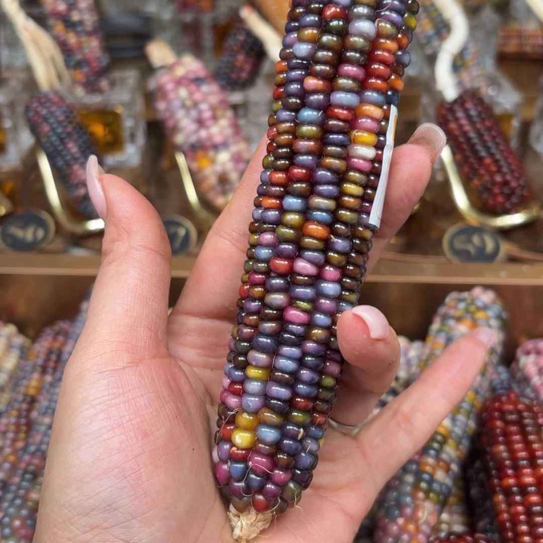 柏香籽/百香籽吊坠噜****啦