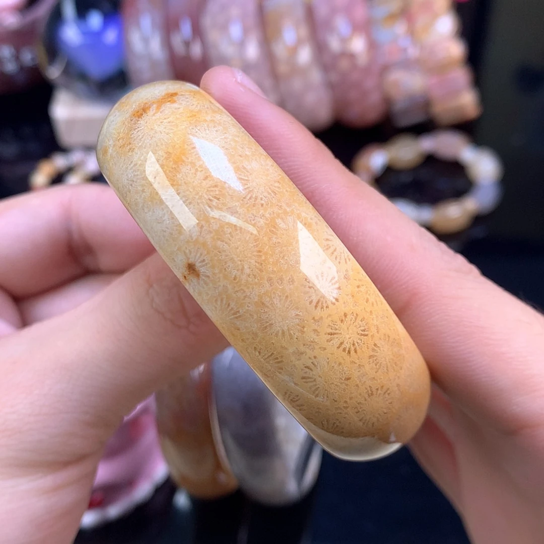 【闪购商品】颈饰未镶嵌硅化珊瑚（珊瑚玉）34号55.8圈金大花