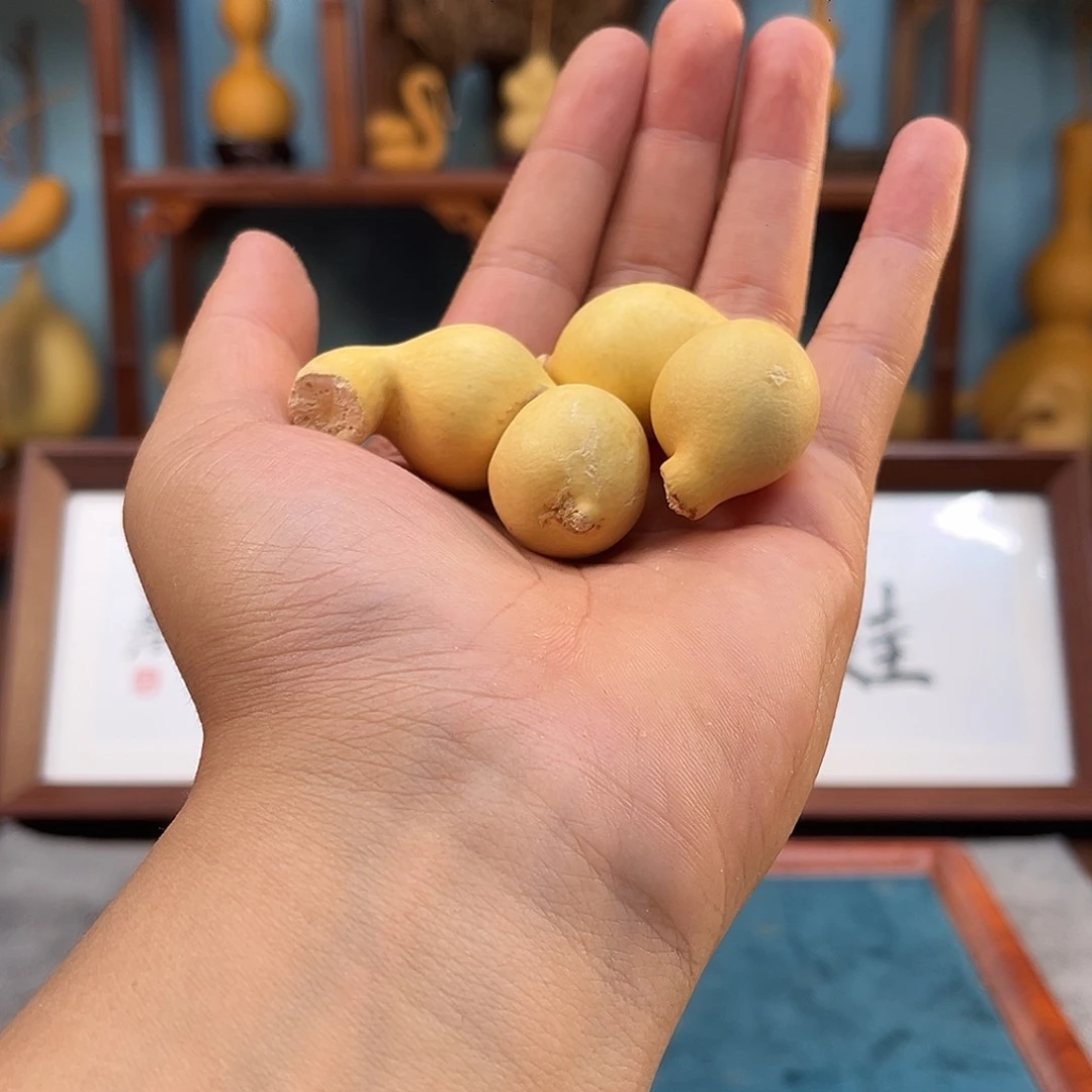 木彬**彬感谢彬彬的支持