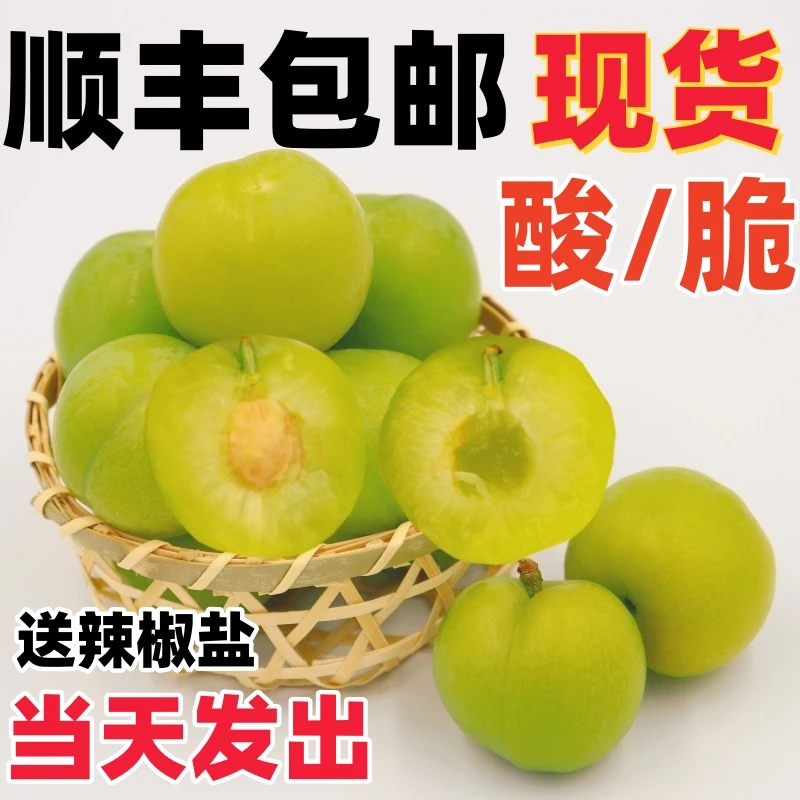 李子新鲜现货现摘现发广东当季孕妇酸脆水果三月李1/5斤顺丰包邮