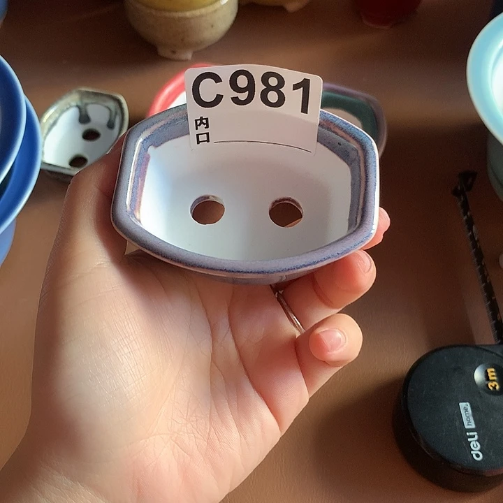 贝*定向大哥发财致富