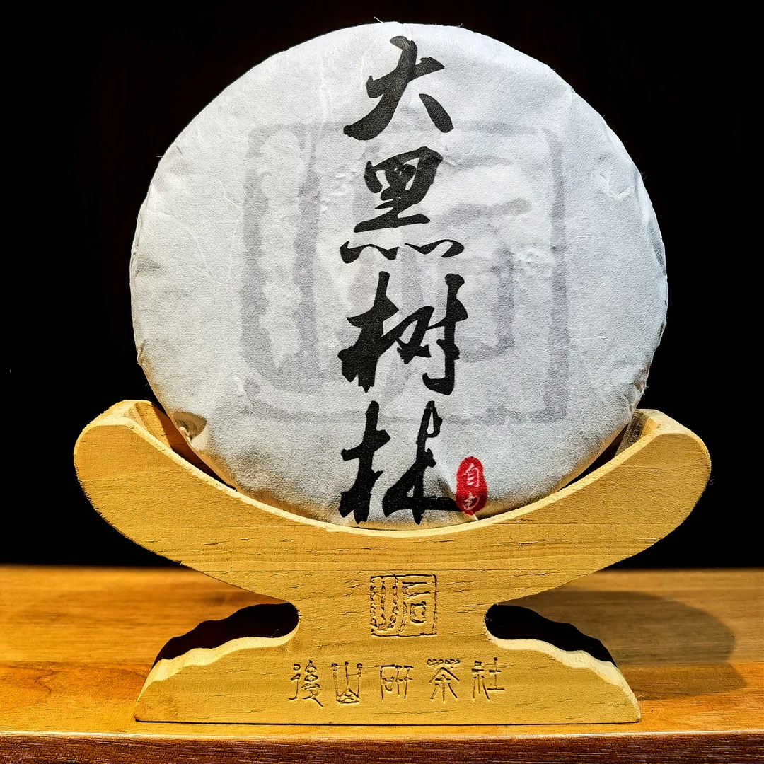 小韩金榜96分大黑树林，2025放养大乔木，200克饼