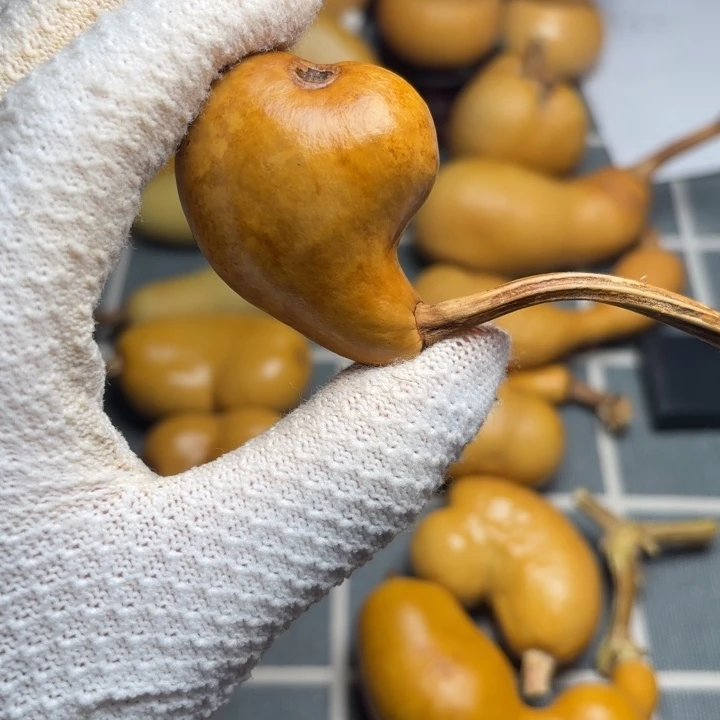 逆***鳞花皮666666666666666