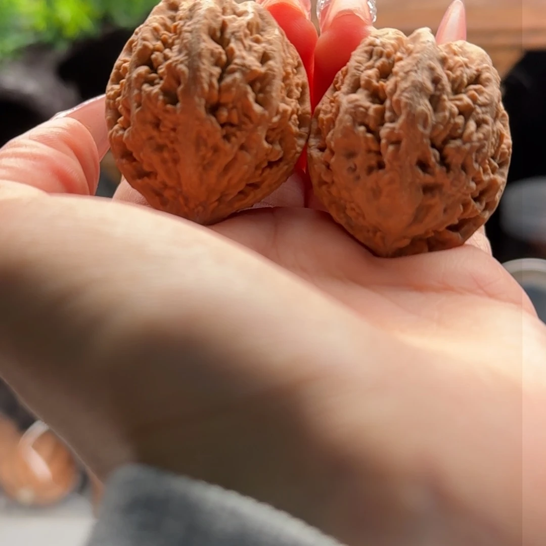 文玩核桃把件关东木子楸百核12