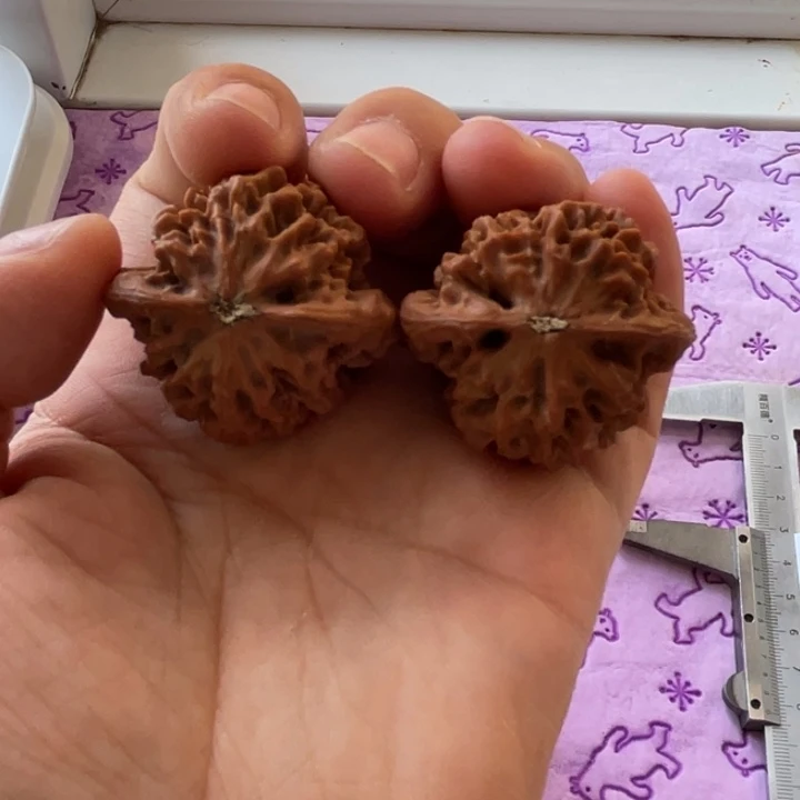 核桃手串/手链上***?秦核