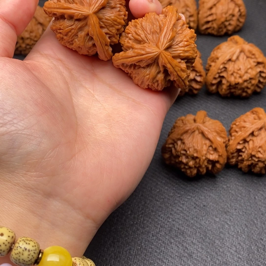 轮*白狮子1111111