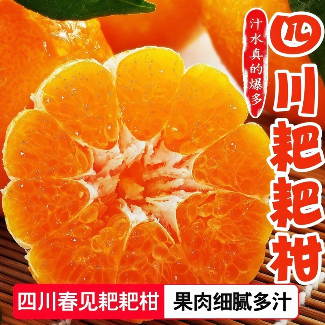 【25年头茬鲜果】正宗四川春见耙耙当季新鲜现摘水果特级粑粑柑