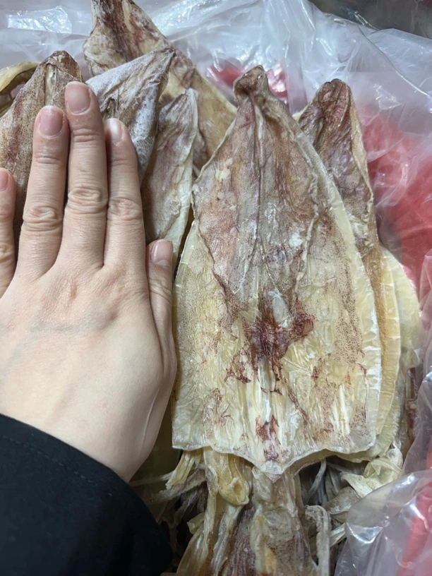 精选本港钓晒大鱿鱼干，爆炒烧烤芥末