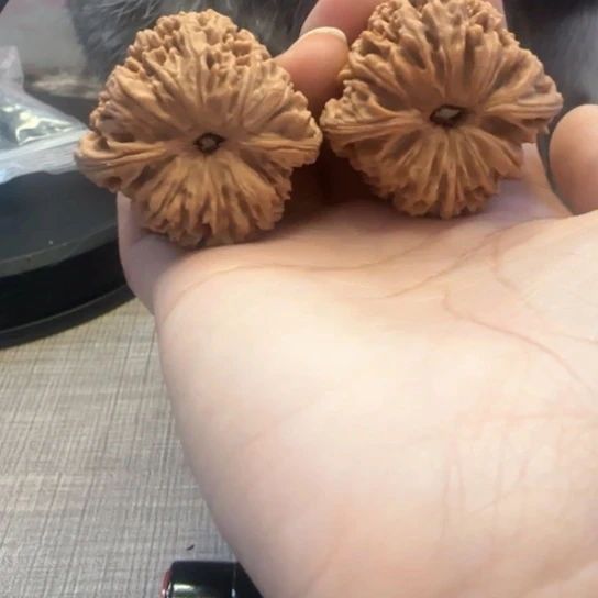 桃核吊坠睡****学核桃核桃
