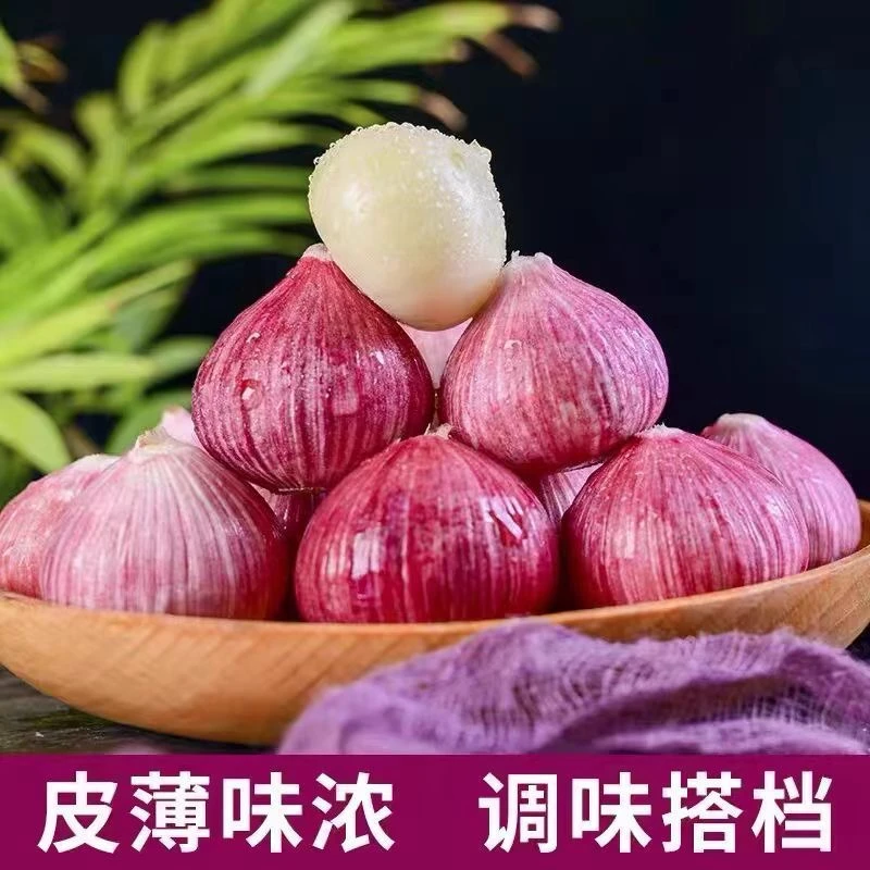 【新干蒜】2025正宗紫皮独头蒜 新晒干蒜