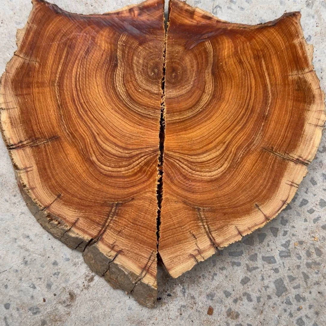 撞***墙柏木（崖柏）太行陈化料饼