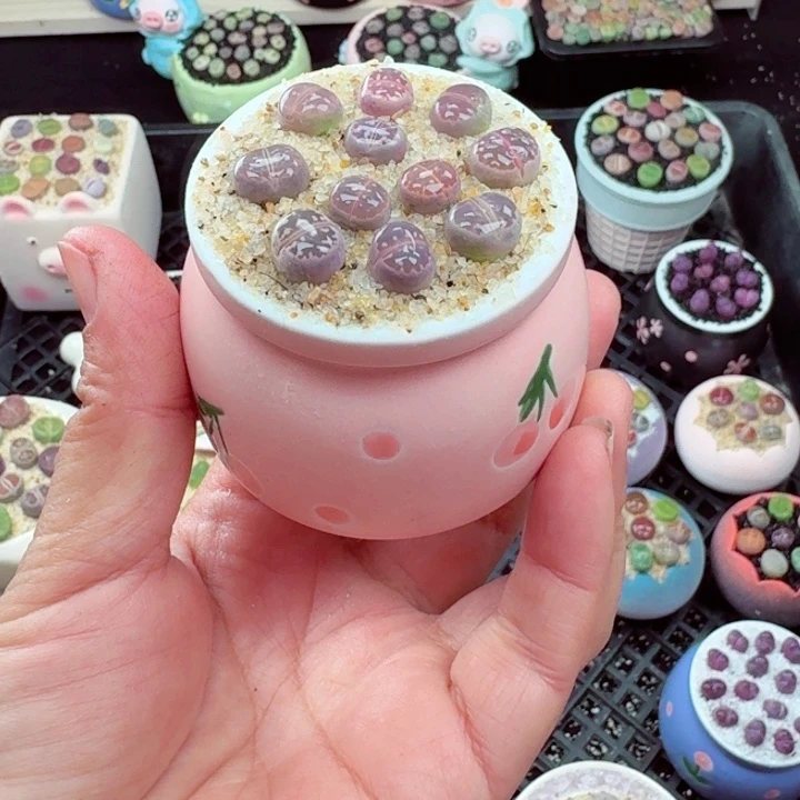 514零下地区记得拍保温箱