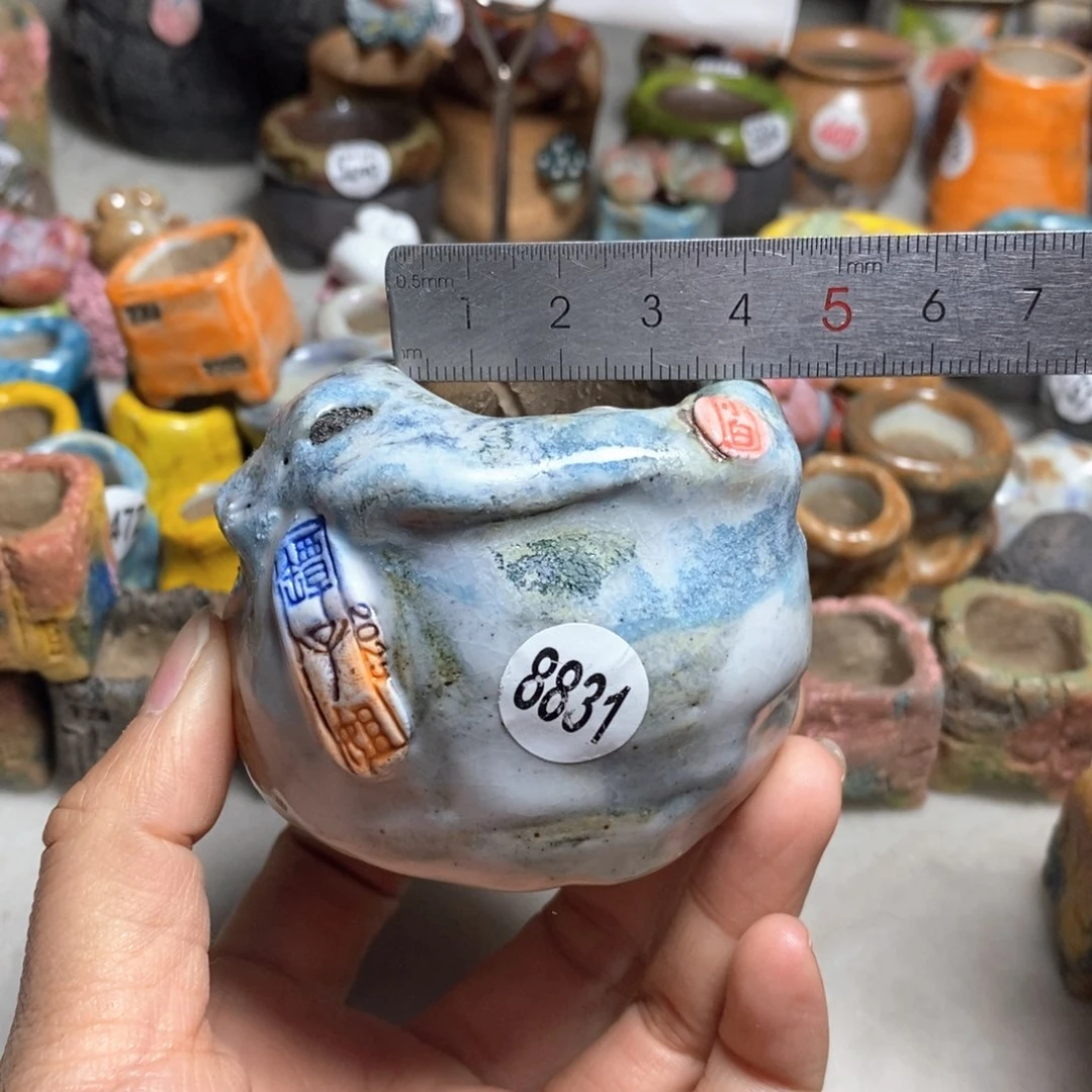 处理的，不退不换的