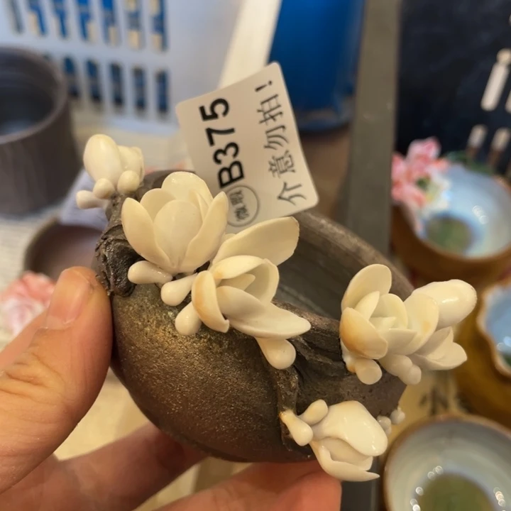 新品柴烧茶具一堆好烦来薅羊毛