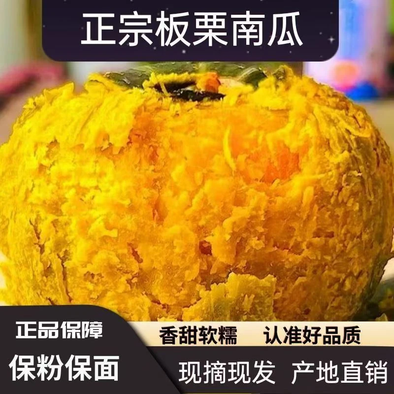 【严选25年新瓜】正宗板栗南瓜沙漠板栗南瓜个大鲜糯非贝贝南瓜