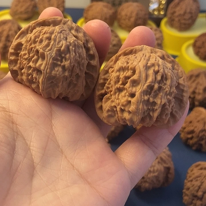 胖***帅文玩核桃  白狮子