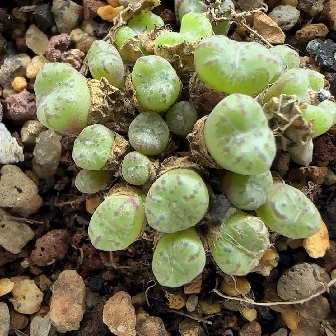 哈哈哈哈哈哈哈50305