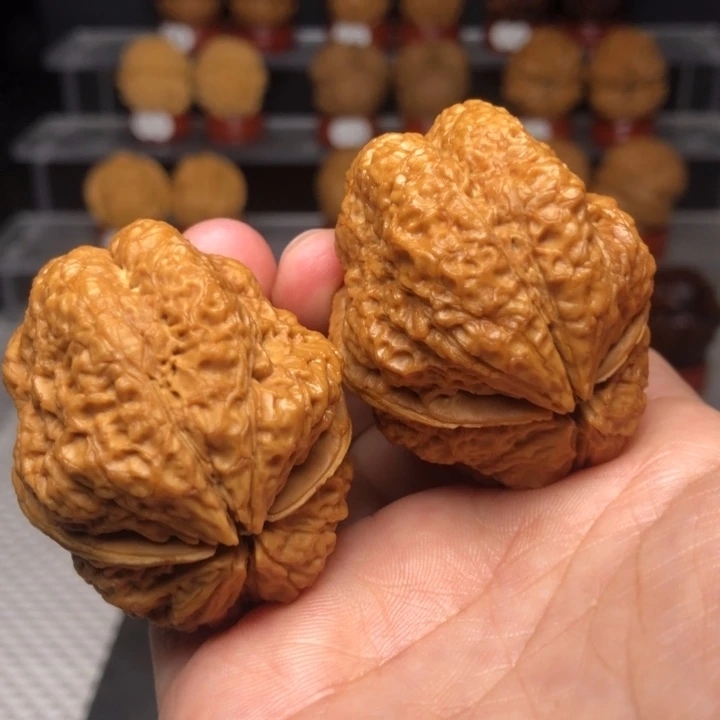 把件文玩核桃35古蟾王