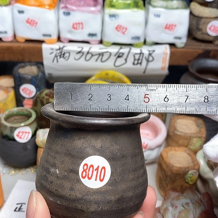 红陶拍5送一个小