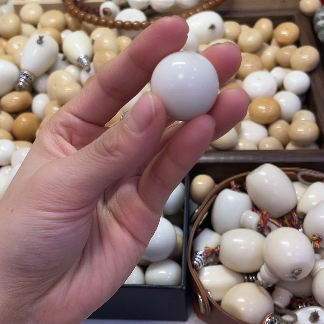 捕***风吊坠菩提根/象牙果