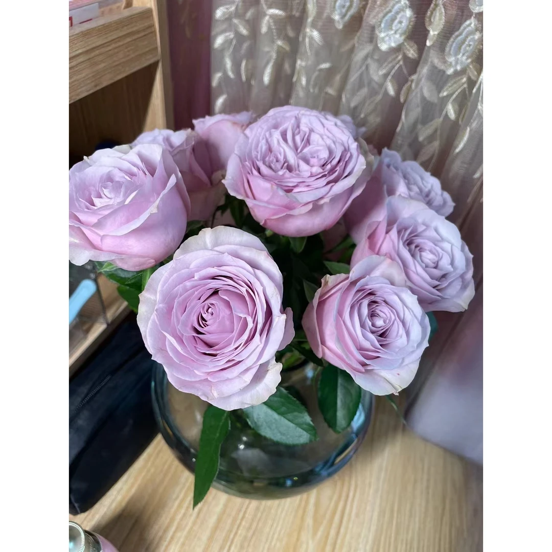 方德珂赛特玫瑰10支+蓝星花一把+白桔梗一大把