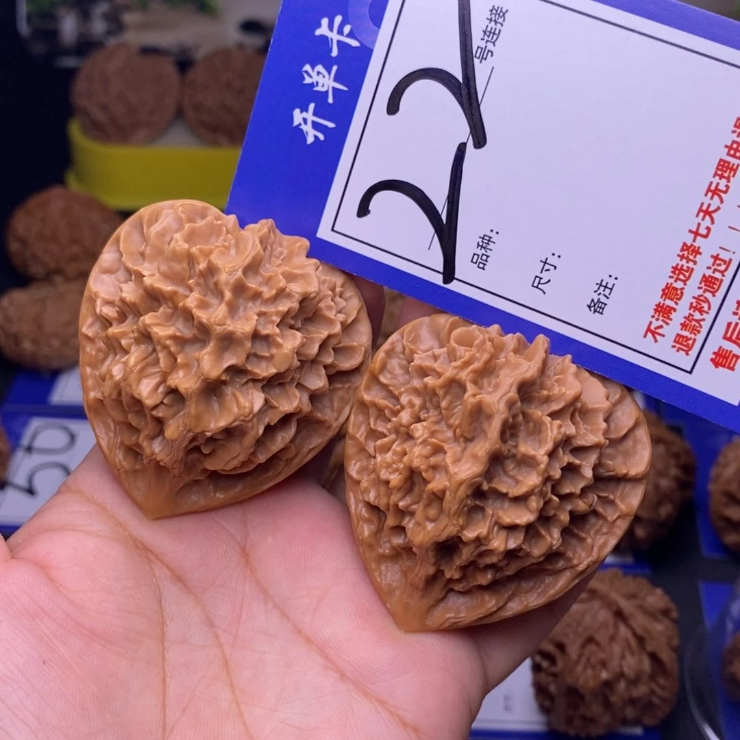 22号链接帝王4.7尺00000