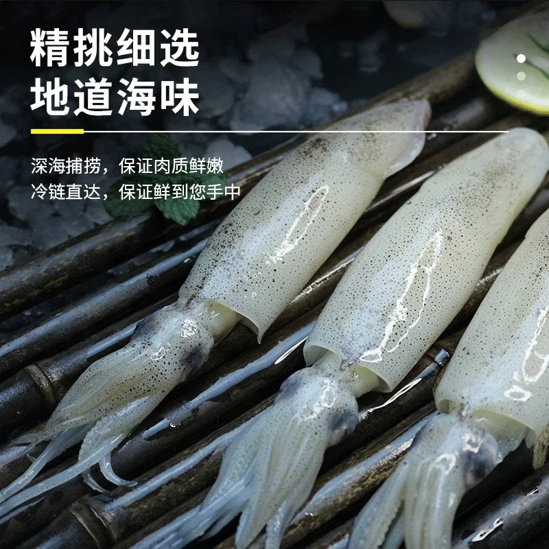 鱿鱼笔管 活鱿活冻 1斤/盒 部分带膏带籽