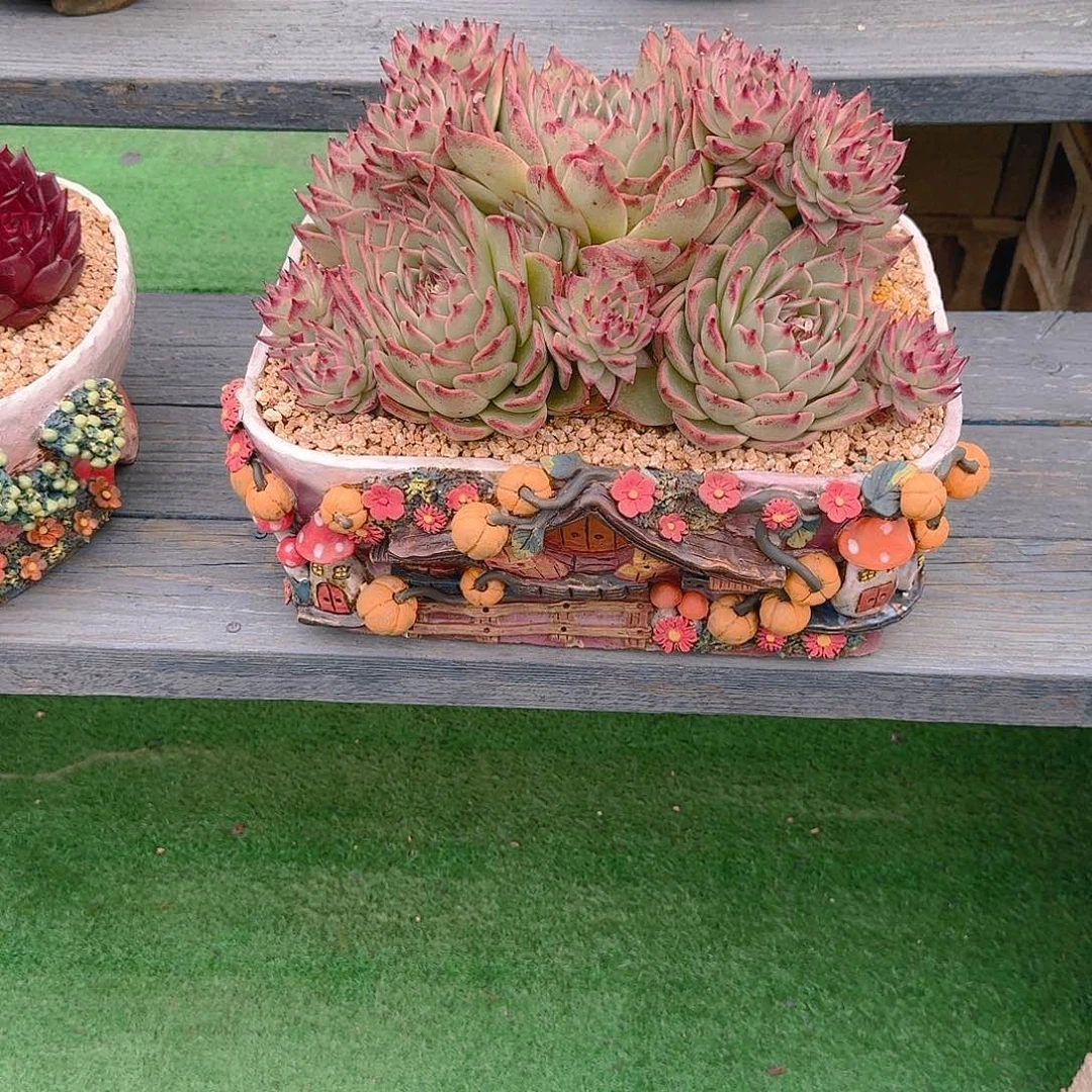 糯*陶然多肉精品花盆